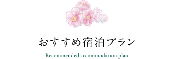 おすすめ宿泊プラン Recommended accommodation plan